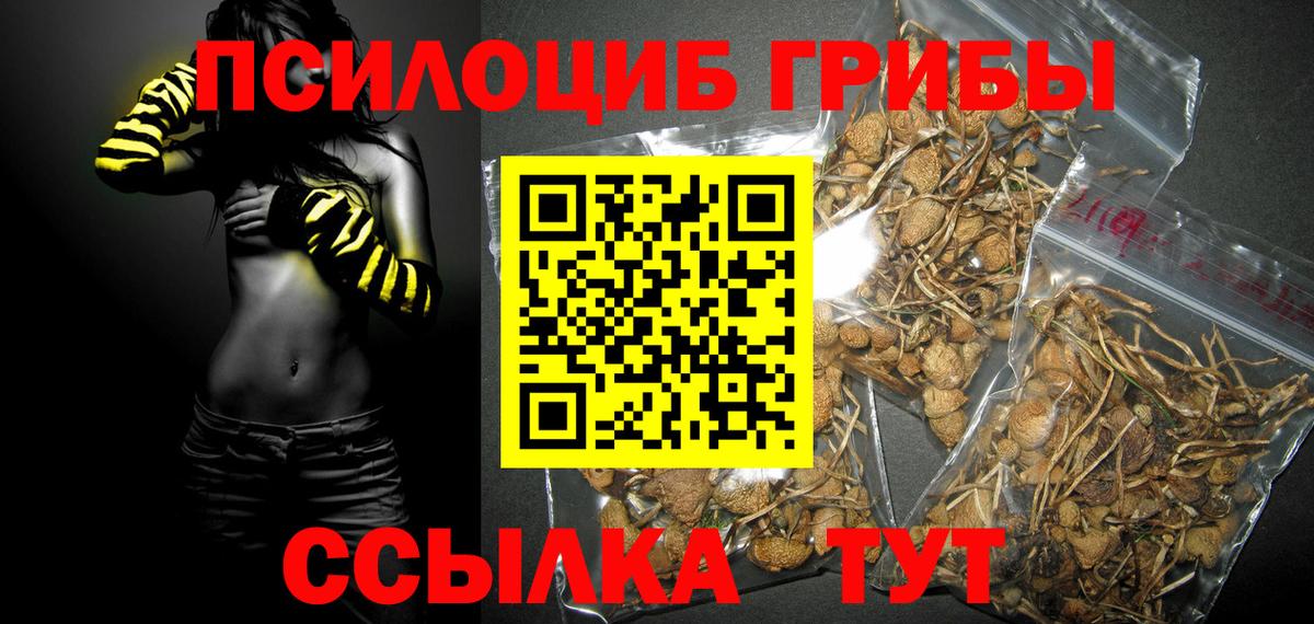 Галлюциногенные грибы прущие грибы Рузаевка